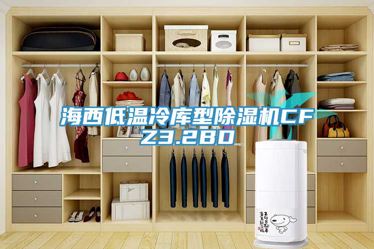 海西低溫冷庫(kù)型除濕機(jī)CFZ3.2BD