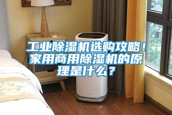 工業除濕機選購攻略！家用商用除濕機的原理是什么？