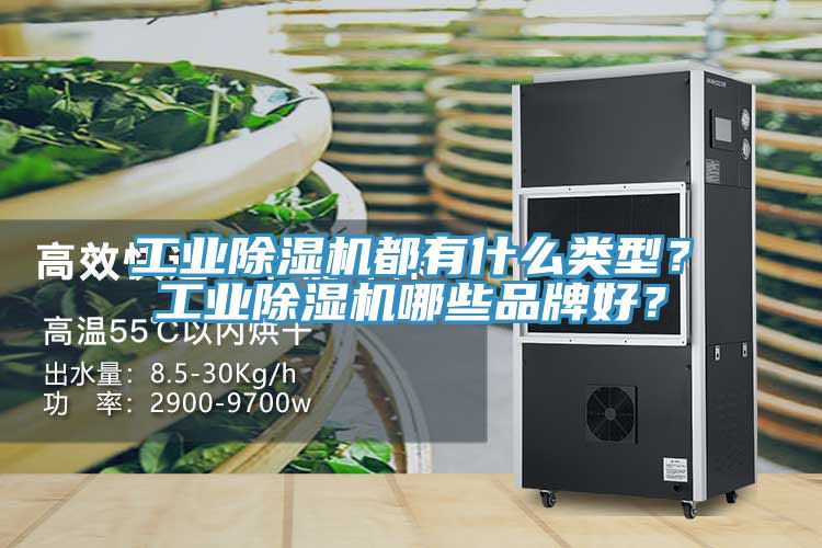 工業除濕機都有什么類型？工業除濕機哪些品牌好？