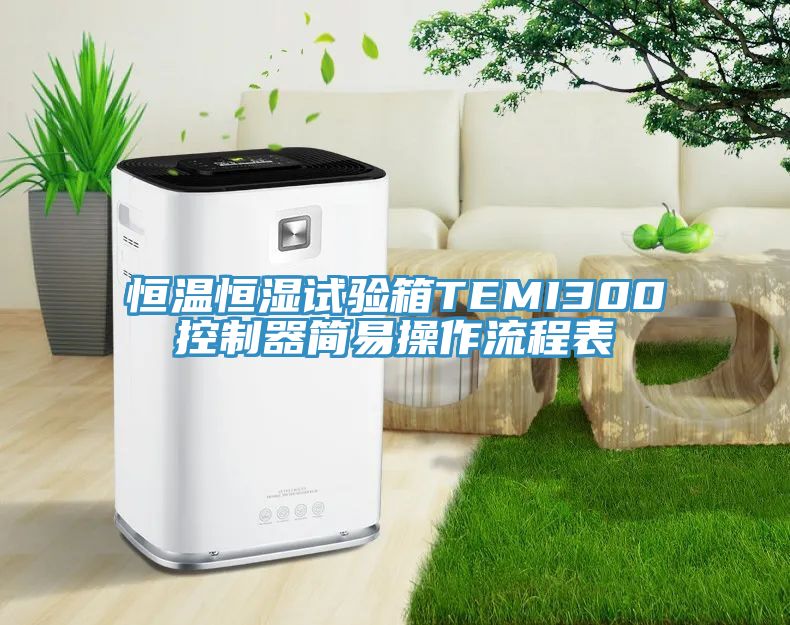 恒溫恒濕試驗箱TEMI300控制器簡易操作流程表