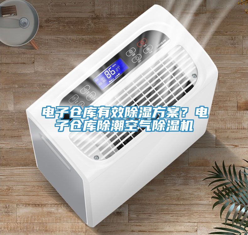 電子倉庫有效除濕方案？電子倉庫除潮空氣除濕機