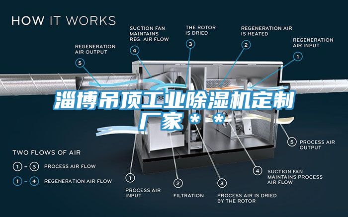 淄博吊頂工業除濕機定制 廠家＊＊