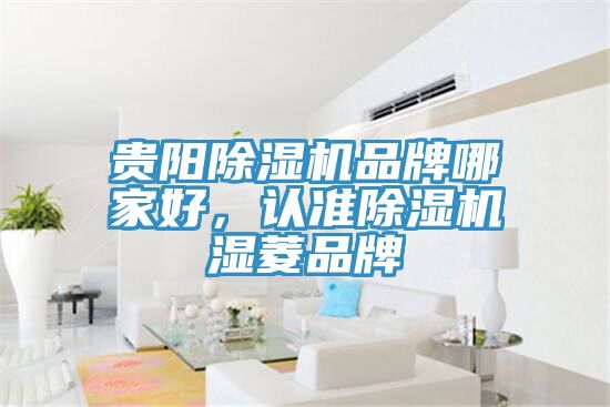 貴陽除濕機品牌哪家好，認準除濕機濕菱品牌