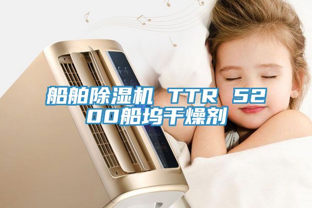 船舶除濕機(jī) TTR 5200船塢干燥劑