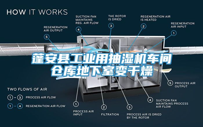 蓬安縣工業用抽濕機車間倉庫地下室變干燥