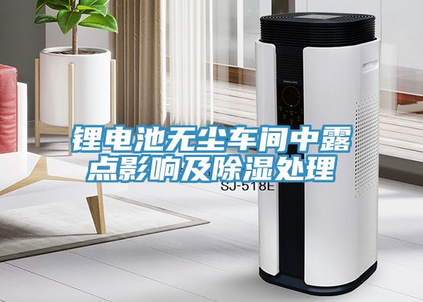 鋰電池?zé)o塵車間中露點影響及除濕處理