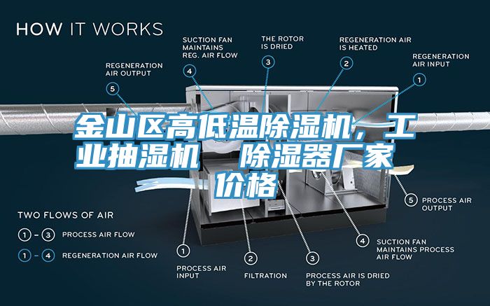 金山區(qū)高低溫除濕機，工業(yè)抽濕機  除濕器廠家 價格