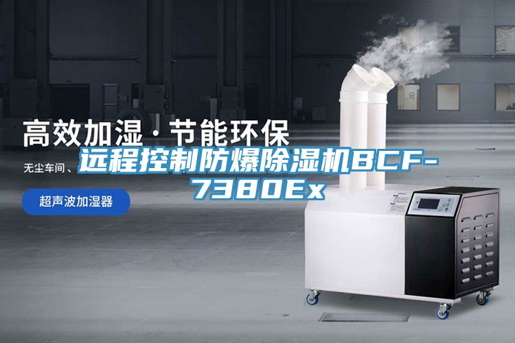 遠(yuǎn)程控制防爆除濕機(jī)BCF-7380Ex