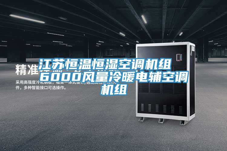 江蘇恒溫恒濕空調機組  6000風量冷暖電輔空調機組