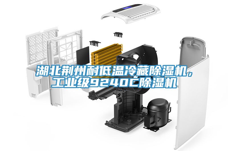 湖北荊州耐低溫冷藏除濕機，工業級9240C除濕機