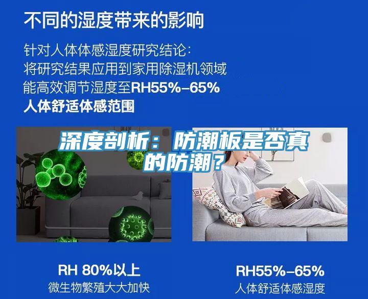 深度剖析：防潮板是否真的防潮？