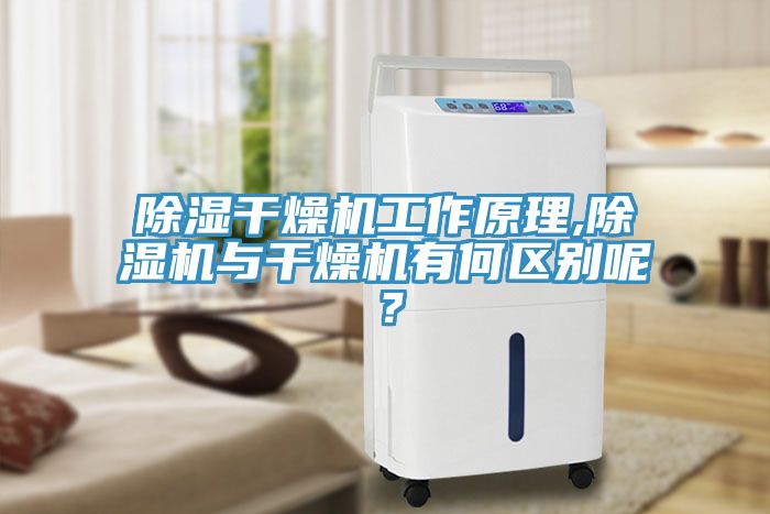 除濕干燥機工作原理,除濕機與干燥機有何區(qū)別呢？