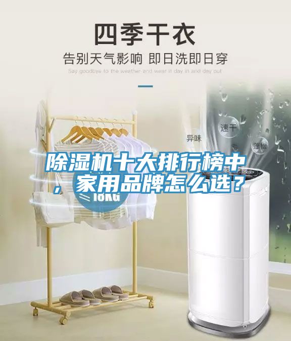 除濕機(jī)十大排行榜中，家用品牌怎么選？