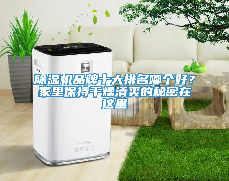 除濕機品牌十大排名哪個好？家里保持干燥清爽的秘密在這里