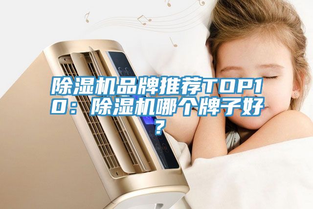 除濕機品牌推薦TOP10：除濕機哪個牌子好？