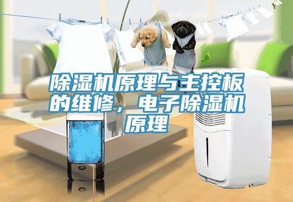 除濕機(jī)原理與主控板的維修，電子除濕機(jī)原理