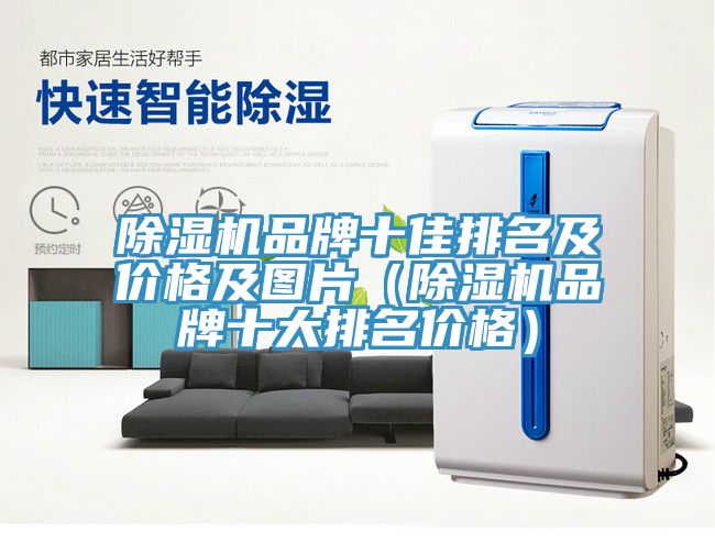 除濕機品牌十佳排名及價格及圖片（除濕機品牌十大排名價格）