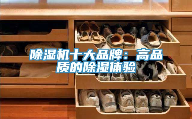 除濕機十大品牌：高品質的除濕體驗