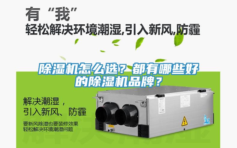 除濕機怎么選？都有哪些好的除濕機品牌？