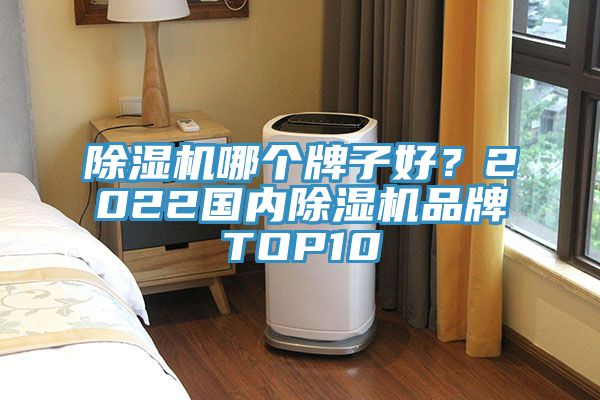 除濕機哪個牌子好？2022國內除濕機品牌TOP10