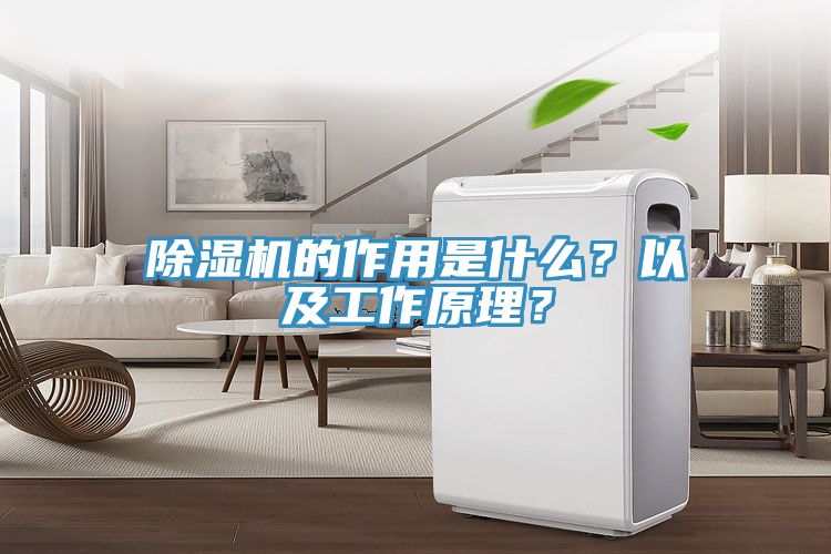 除濕機的作用是什么？以及工作原理？