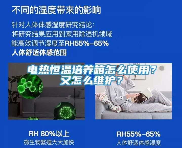 電熱恒溫培養(yǎng)箱怎么使用？又怎么維護(hù)？