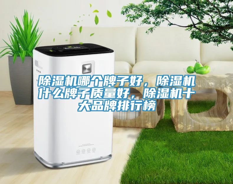 除濕機哪個牌子好，除濕機什么牌子質量好，除濕機十大品牌排行榜